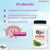 probiotic-supports-gut-health